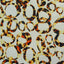 Printed Spandex