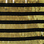 Sequins