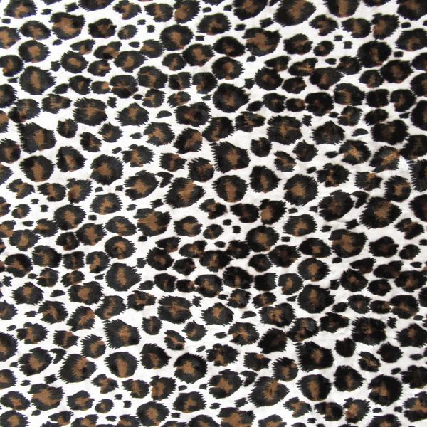 Leopard Skin
