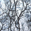 Urban Tactical Digital Camouflage Pattern