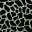 Cow Skin