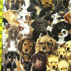 Puppies