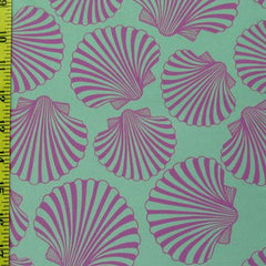 Seashell