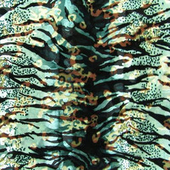 Jungle Zebra
