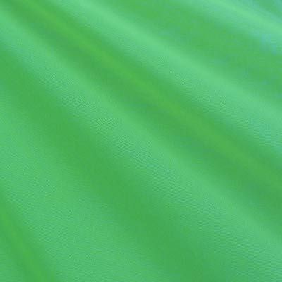 71-Glo Green Solid Nylon Mesh Fabric (Sheer Mesh)