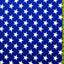 Star Print