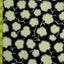 Printed Spandex