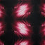 Printed Spandex