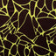 Printed Spandex