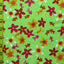 Floral Print