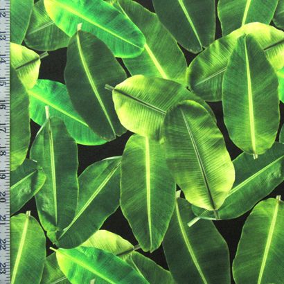 Leaf Print