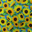 Printed Spandex