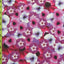 Floral Print