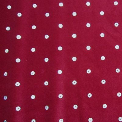 Sequins Velvet