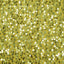 Rigid Sequins