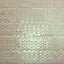 Iridescent Sequins