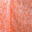 Sequins on Mesh