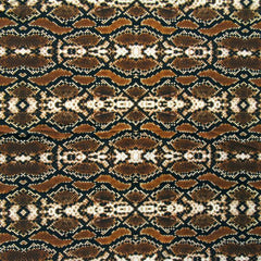Snake Skin