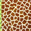 Giraffe Print