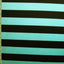 2 Inch Horizontal Stripe (Shiny)