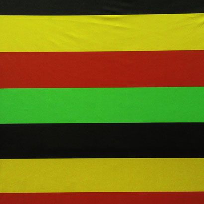 2'' Inch Horizontal Stripe (Matte)