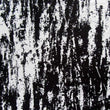 Printed Spandex