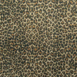 Premium Leopard Print Mesh Fabric