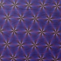 Printed Spandex