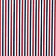 1/4 inch Vertical Stripe (Matte)