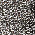 Leopard Skin