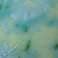 Tie Dyed