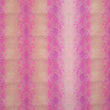 Snake Skin