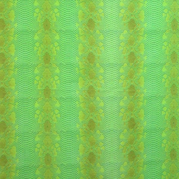 Snake Skin
