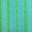 Snake Skin