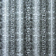 DS2181- Snake Skin