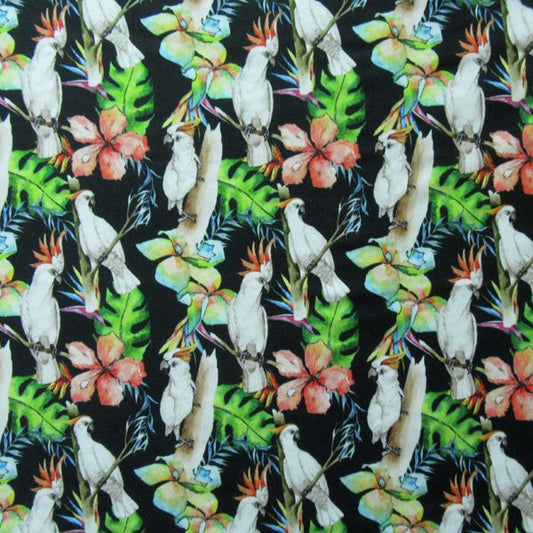 Parrots