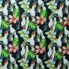 Parrots