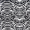 Tiger Skin