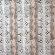 Snake Skin