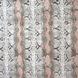 Snake Skin