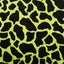 Cow Skin
