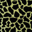 Cow Skin