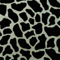 Cow Skin
