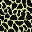 Cow Skin