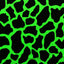 Cow Skin