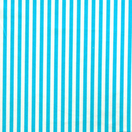 1/4 inch Vertical Stripe (Shiny)