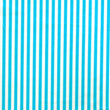 1/4 inch Vertical Stripe (Shiny)