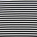 1/4 Inch Horizontal Stripe