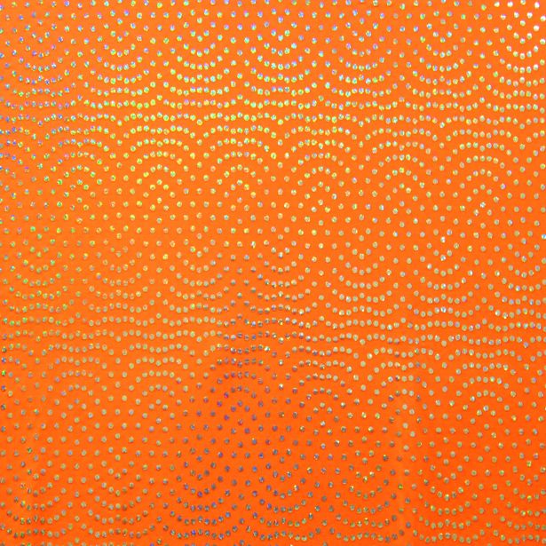 Hologram Reflective Stretch Fabric - 95% Polyester 5% Spandex Performance Material