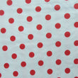 Premium Polka Dot Patterned Mesh Fabric